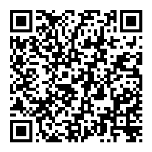 图片[2]-【修改器】污痕圣杯：阿瓦隆的陨落-电玩纪元