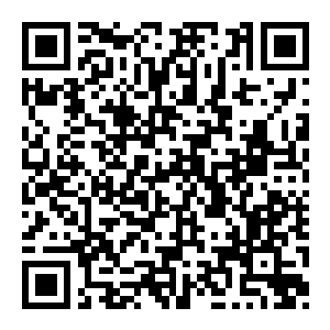 【PC】机械之犬 Build.25598843 官方中文版 容量4.4GB（Dog in the Machine）-电玩纪元