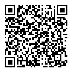 图片[2]-【修改器】最后纪元-电玩纪元