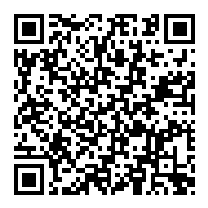 【PC】HR:人类遗骸 Build.25582193 官方中文版 容量4.9GB(HR:Human Remains)-电玩纪元