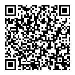 图片[2]-【修改器】全面战争：拿破仑-电玩纪元