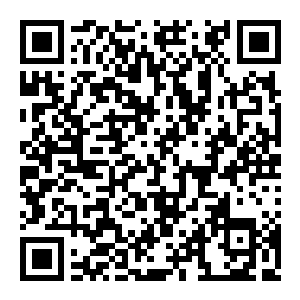 【PC】骰之侵略者 Build.25222570 官方中文版 容量1.5GB（Dicevaders）-电玩纪元