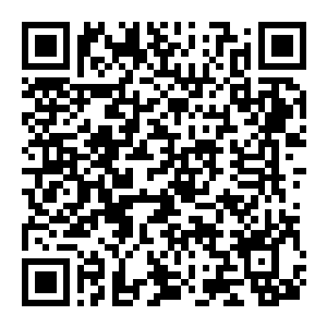 【PC】小黑鹂 Build.25598192 官方中文版 容量2.1GB（The Merlies）-电玩纪元