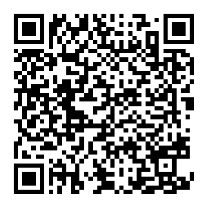 图片[2]-【修改器】全面战争：罗马 重制版-电玩纪元
