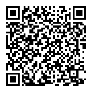 【PC】街头霸王5:冠军版 v7.011 官方中文版+整合Season5第五季+多项修改器+全内容解锁存档 容量59.7GB(Street Fighter V:Champion Edition)-电玩纪元