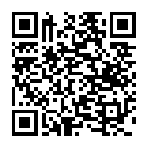 【PC】猫咪大作战:捕鱼 Build.25456547 官方中文版 容量1.1GB(Meow Squad:Incremental Fishing)-电玩纪元