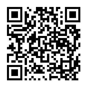 【PC】清空弹夹 Build.25475388 官方中文版 容量11GB(FullSend)-电玩纪元
