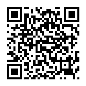 【PC】地毯清洁模拟器 Build.24987121 官方中文版 容量1.28GB（Carpet Cleaning Simulator）-电玩纪元