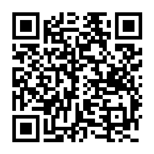 【PC】光陨之地 Build.25529500 官方中文版 容量9.7GB(Land of Glarefall)-电玩纪元