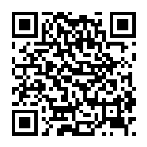 【PC】内罗与赛:积分完整版 Build.24261822 官方中文版 容量7.6GB(Néro & Sci ∫ Integral Edition)-电玩纪元