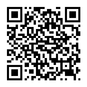 【PC】动物酒馆：毫无人性 Build.25259686 官方中文版 容量2.5GB（Animaly Bar：NO HUMANITY!）-电玩纪元