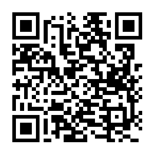 【PC】控制 – 终极合辑 Build.21225456 官方中文版+多项修改器+主线100%完成度存档 容量41.9GB（Control Ultimate Edition）-电玩纪元