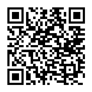 【PC】机场管制27 Build.25438071 官方中文版 容量17.6GB(Airport Control 27)-电玩纪元