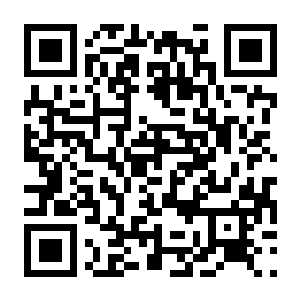 【PC】幻兽帕鲁 v1.0.5 官方中文版+46项修改器 容量41.4GB(Palworld)-电玩纪元