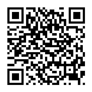 【PC】幸存者笔记 Build.25268753 官方中文版 容量34.2GB(Survivor’s Notes)-电玩纪元