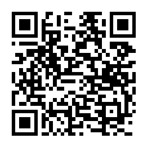 【PC】猫愿日记 Build.25528221 官方中文版 容量4.7GB(Neko Diary)-电玩纪元