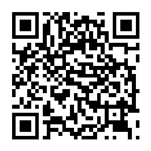 【PC】龙之庇护所 Build.25437399 官方中文版 容量2.1GB（Dragon Shelter）-电玩纪元