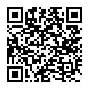 【PC】IT服务公司 Build.25262276 豪华中文版+全DLC 容量13.2GB（ServiceIT：You can do IT）-电玩纪元