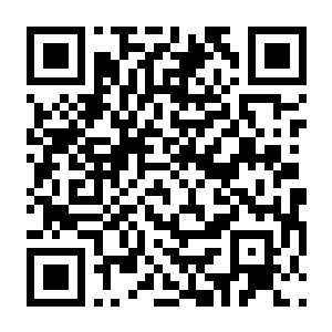 【PC】废墟图书馆 Build.7742057 官方中文版+多项修改器 容量9.17GB（Library Of Ruina）-电玩纪元