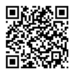 【PC】冰封绝境 Build.25210441 官方中文版 容量17GB(CRYO)-电玩纪元