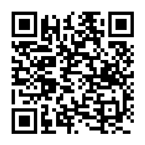 【PC】塞尔达传说:荒野之息(别名塞尔达传说:旷野之息) v1.6.0模拟器版 官方中文版+整合2DLC+MOD合集 容量17.4GB(The Legend of Zelda:Breath of the wi…-电玩纪元