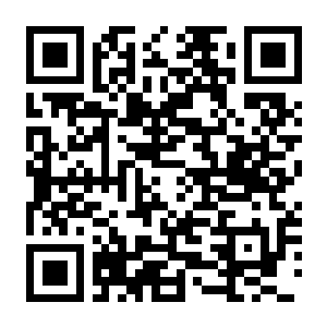 【PC】歧路旅人1(别名八方旅人1) Build.5272616 官方中文版+多项修改器+神官开局初始存档+剑士初始强力装备存档 容量3.33GB(Octopath Traveler)-电玩纪元