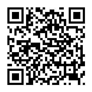 图片[2]-【PC】骰之侵略者 Build.25222570 官方中文版 容量1.5GB（Dicevaders）-电玩纪元
