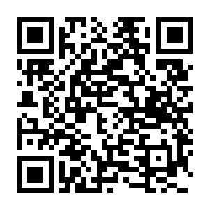 【PC】尼拉航海者 Build.25106505 内置中文汉化 容量27.9GB(Voyagers of Nera)-电玩纪元