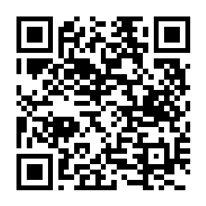 【PC】合金装备 & 合金装备2:固蛇 v2.0.2 官方原版 容量1.3GB(METAL GEAR & METAL GEAR 2:Solid Snake)-电玩纪元