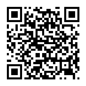 【PC】造船师:猎鹰战纪 Build.25081036 官方中文版 容量1.4GB(ShipShaper:Falconeer Chronicles)-电玩纪元