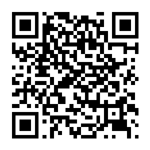 【PC】骰缚 Build.25439604 官方中文版 容量1.7GB(Dicebinder)-电玩纪元