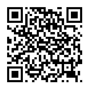 【PC】切入核心 Build.24662797 官方中文版 容量5.8GB(Cut to the Core)-电玩纪元