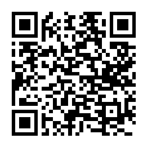 【PC】编程农场 Build.25234622 官方中文版 容量260MB（The Farmer Was Replaced）-电玩纪元