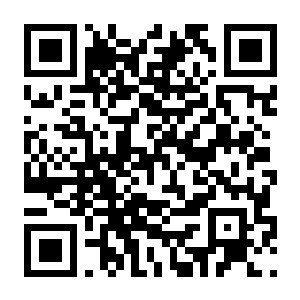 【PC】小小伊甸园 Build.25175499 官方中文版 容量4.2GB(Tiny Eden)-电玩纪元