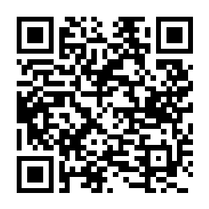 图片[2]-【PC】小黑鹂 Build.25598192 官方中文版 容量2.1GB（The Merlies）-电玩纪元