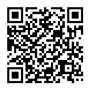 图片[2]-【PC】美少女大战僵尸 Build.25722050 官方中文版+全DLC-电玩纪元