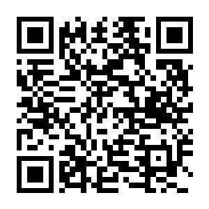 【PC】豆豆海世界 Build.25453365 官方中文版 容量3.8GB（Soggy Beans）-电玩纪元