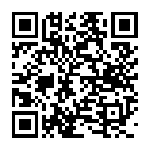 【PC】内核之心 Build.25356193 官方中文版 容量16GB(Kernel Hearts)-电玩纪元