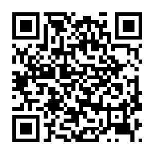 【PC】全面战争:幕府将军2 v1.1.0完全版 官方中文版+内置简中汉化+多项修改器 容量23.5GB(Total War:SHOGUN 2)-电玩纪元