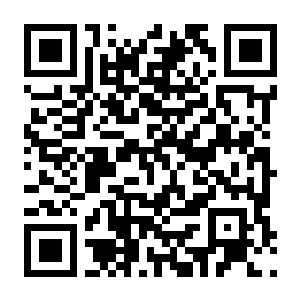 【PC】废品大亨 v27551 官方中文版 容量27.7GB（Barn Finders）-电玩纪元