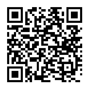 【PC】深度求财：挖打撤 Build.25259045 官方中文版 容量5.8GB（DIG Raiders：Anomaly Extraction）-电玩纪元