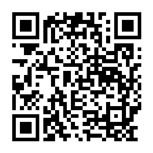 图片[2]-【PC】博物馆学家：整理博物馆！ Build.25560280 官方中文版 容量5.9GB（Museologist：Tidy Up the Museum!）-电玩纪元
