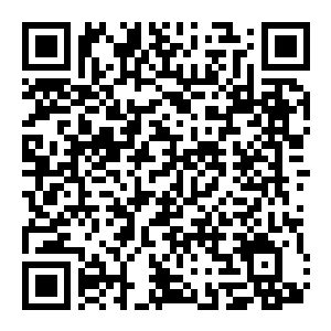 图片[2]-【PC】恐龙馆 Build.24554931 官方中文版 容量2.8GB（Dinosaurium）-电玩纪元