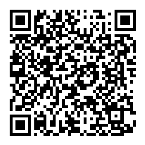 【PC】奥科：流放者 Build.25617987 官方中文版 容量3.2GB（Okko The Exiled）-电玩纪元