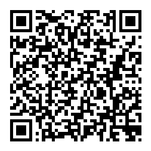 【PC】吟游诗人传奇:圣殿骑士 Build.25749996 官方中文版 容量12GB(The Ballad Singer:Knights Templar)-电玩纪元