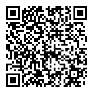 【PC】暗徒誓约 Build.21247563-绯月轮舞-焰魂觉醒 官方中文版+全DLC+全服装-电玩纪元