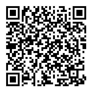 【PC】龙与地下城 无冬之夜2 增强版 Build.24458631 集成汉化版+全DLC-电玩纪元