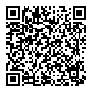 【PC】涅克罗蒙达 赏金猎人 Build.7857572 豪华中文版+全DLC-电玩纪元