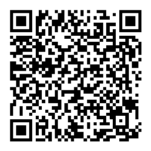 【PC】传说法师2 v1.1.0 官方中文版 容量3.59GB(Wizard of Legend 2)-电玩纪元