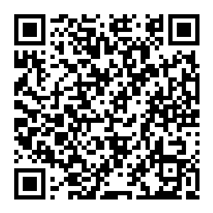 【PC】抬走伯爵 Build.25651106 官方中文版 容量5.3GB（Carry The Count）-电玩纪元